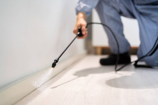 Licensed Cockroach Control service in Amite City, LA - Nex Pest Control