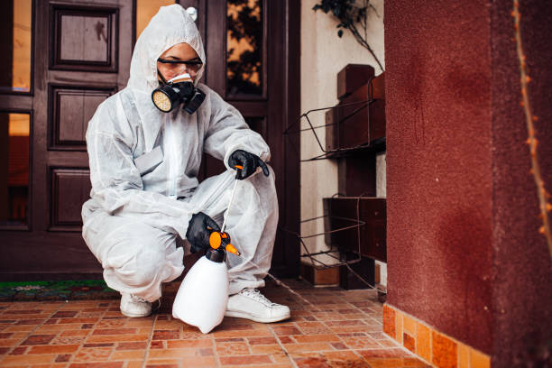 Reliable Cockroach Control contractor in Amite City, LA by Nex Pest Control
